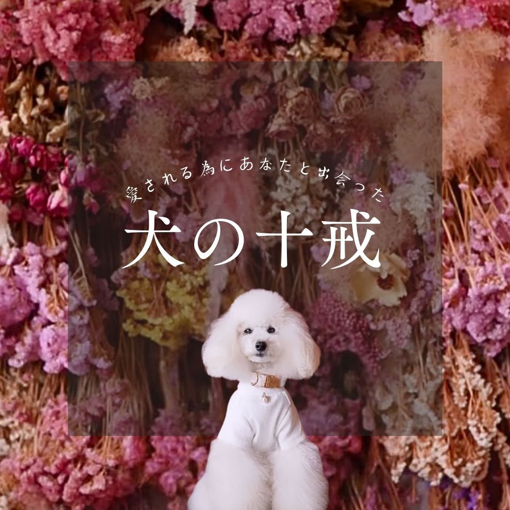 愛される為にあなたと出会った「犬の十戒」
