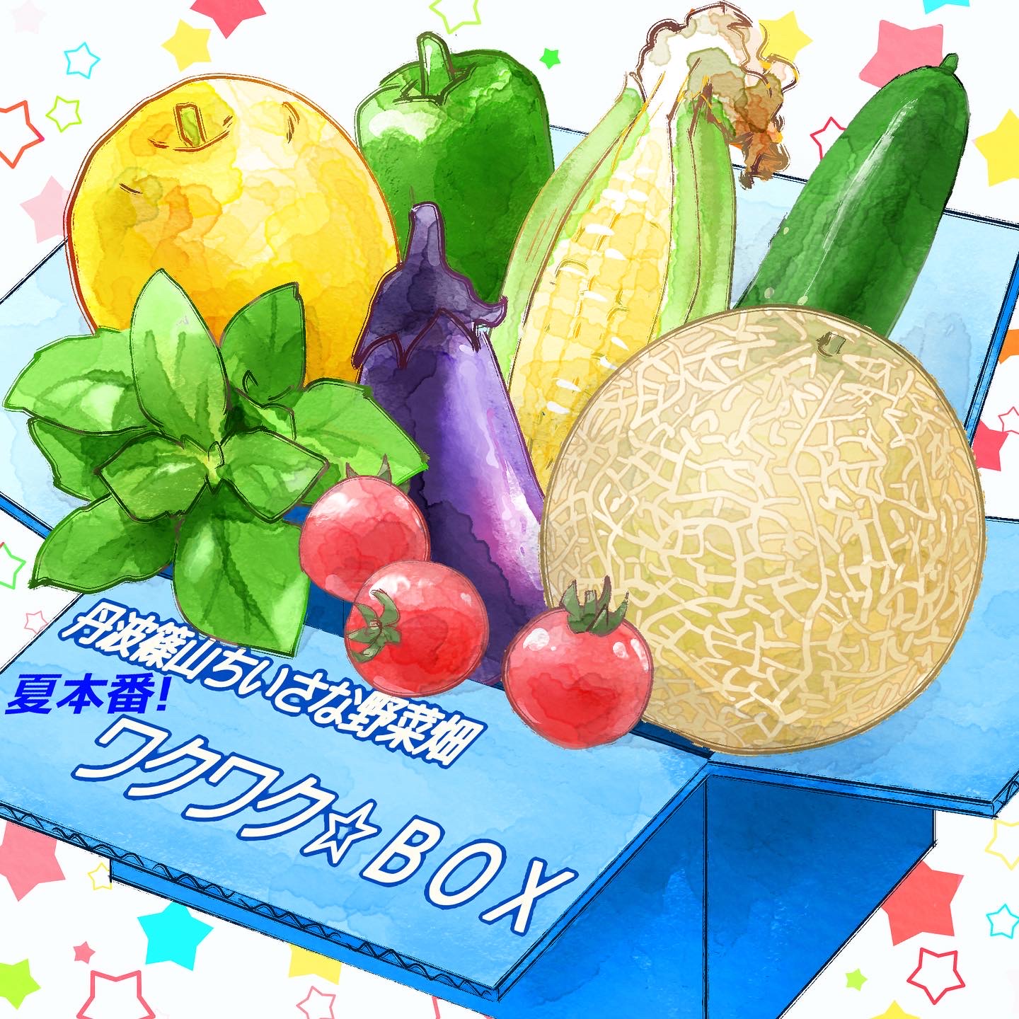 2022年【夏本番！「ワクワク☆BOX」】販売スタート