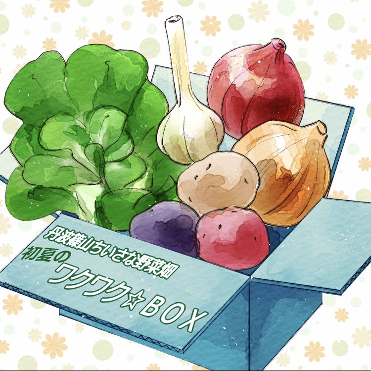 旬を味わう『ワクワク☆BOX』、販売スタート！