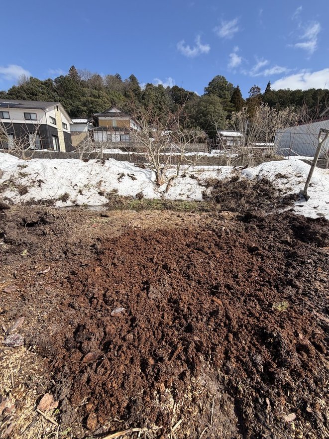 ＜ブルーベリー＞2026年2月の様子