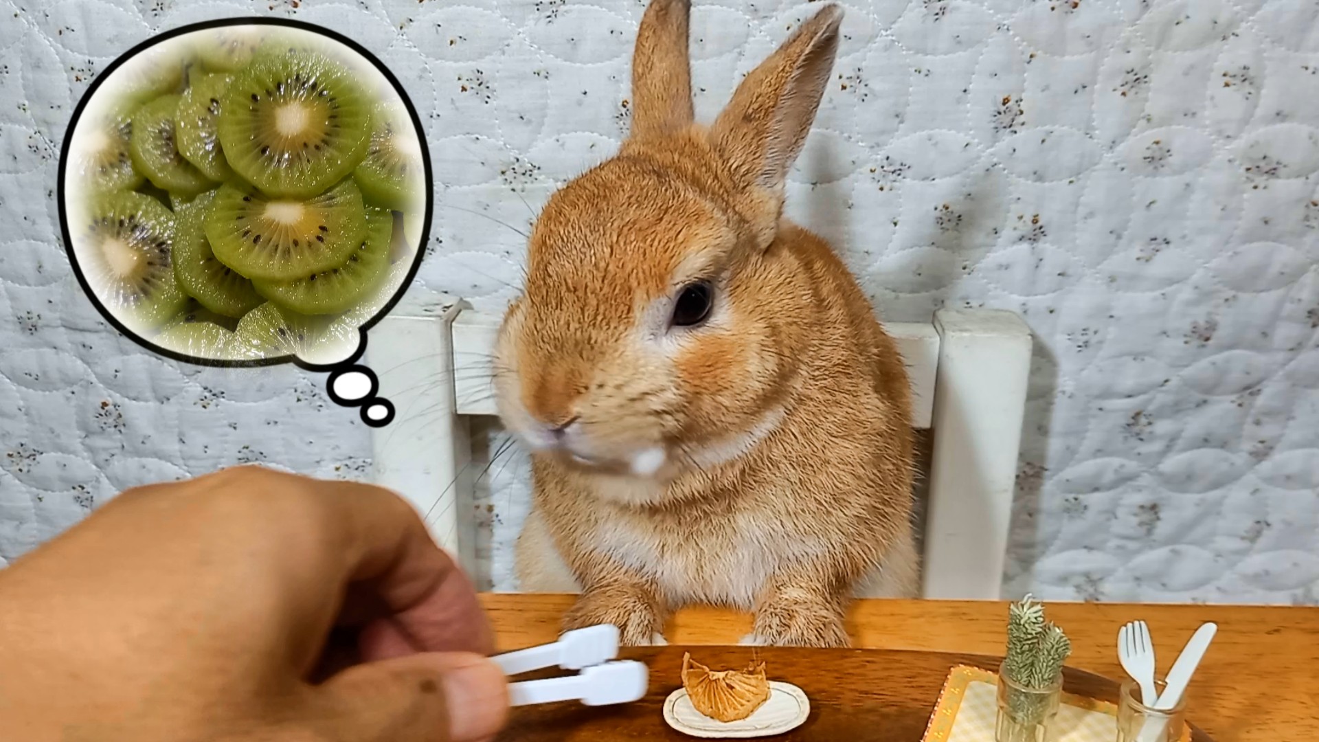 🐰 7月のおやつ発売開始のおしらせ【7/5(日)23:59まで】