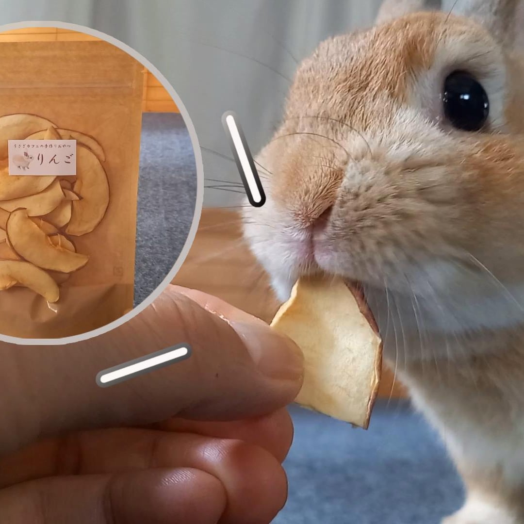 🐰 10月のおやつ販売のおしらせ【10/5（月）23:59まで】