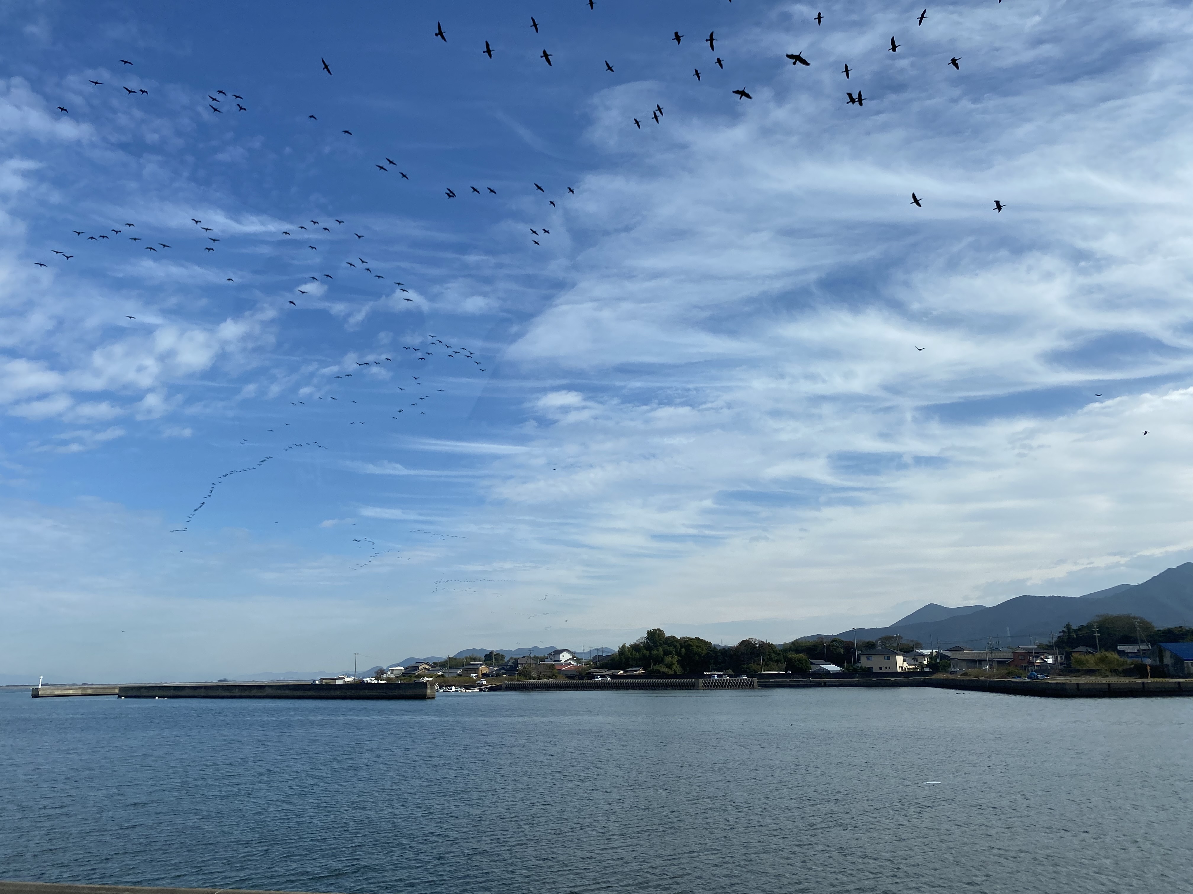 15年前と変わった海。