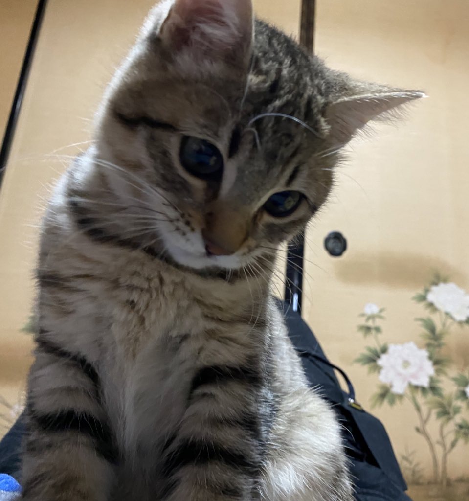 引っ越しの為、しばらくお休み致します。