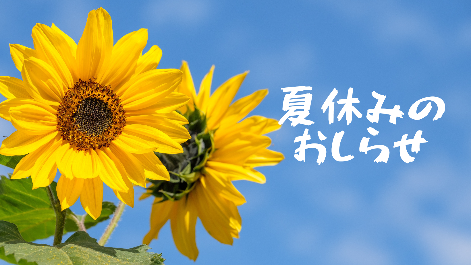 夏季休業のおしらせ