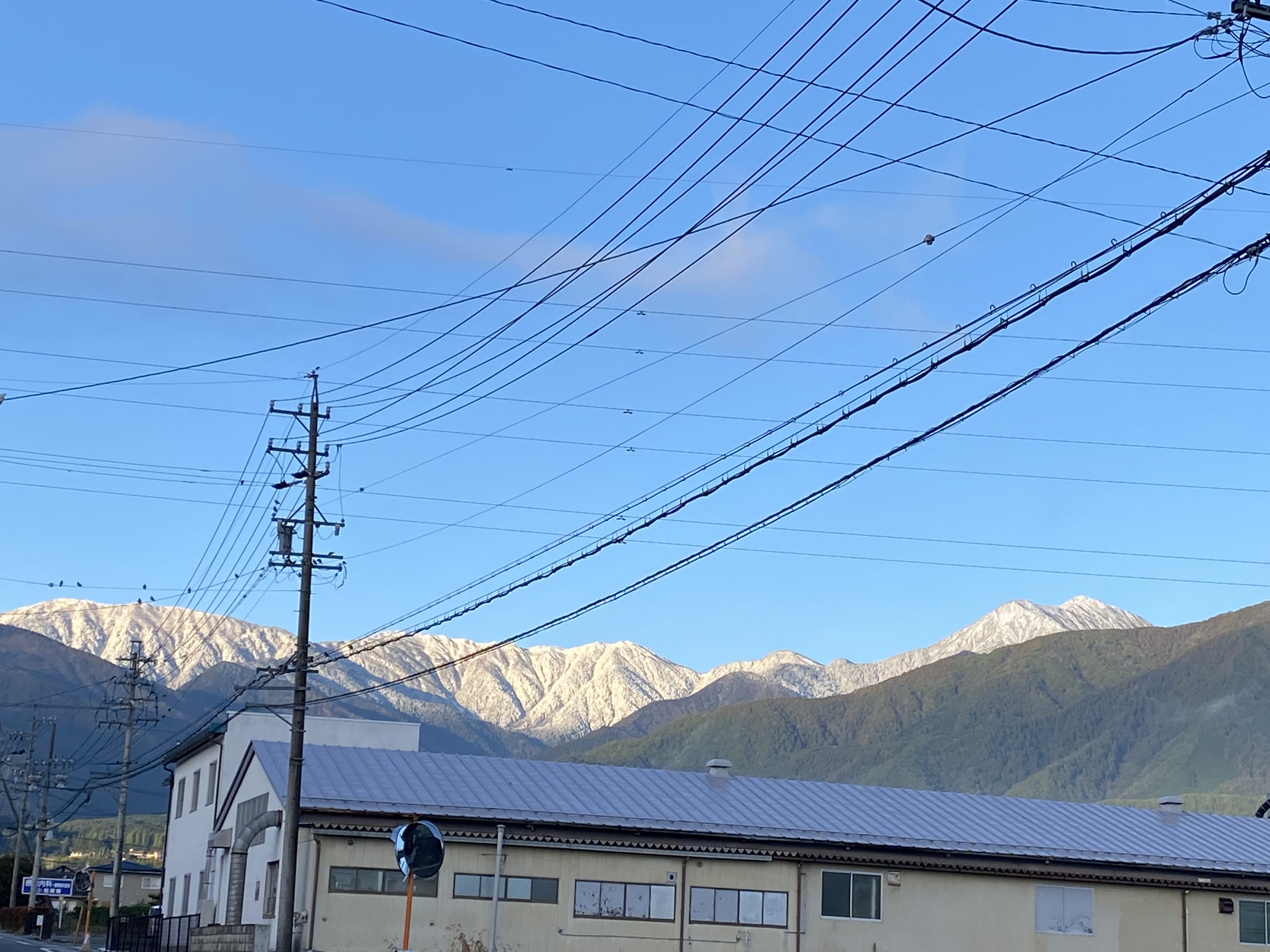 いまお届けできるパン一覧