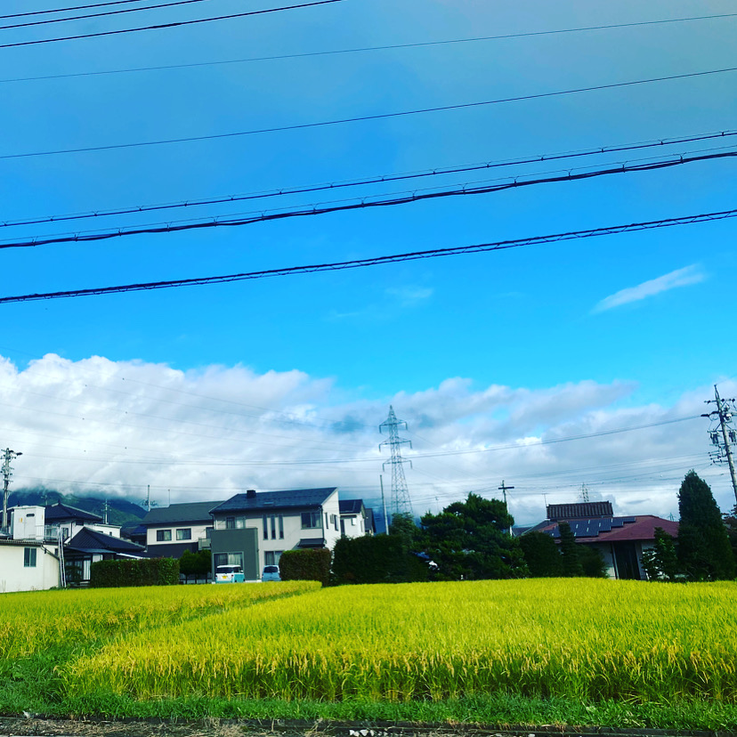 秋のパン続々と