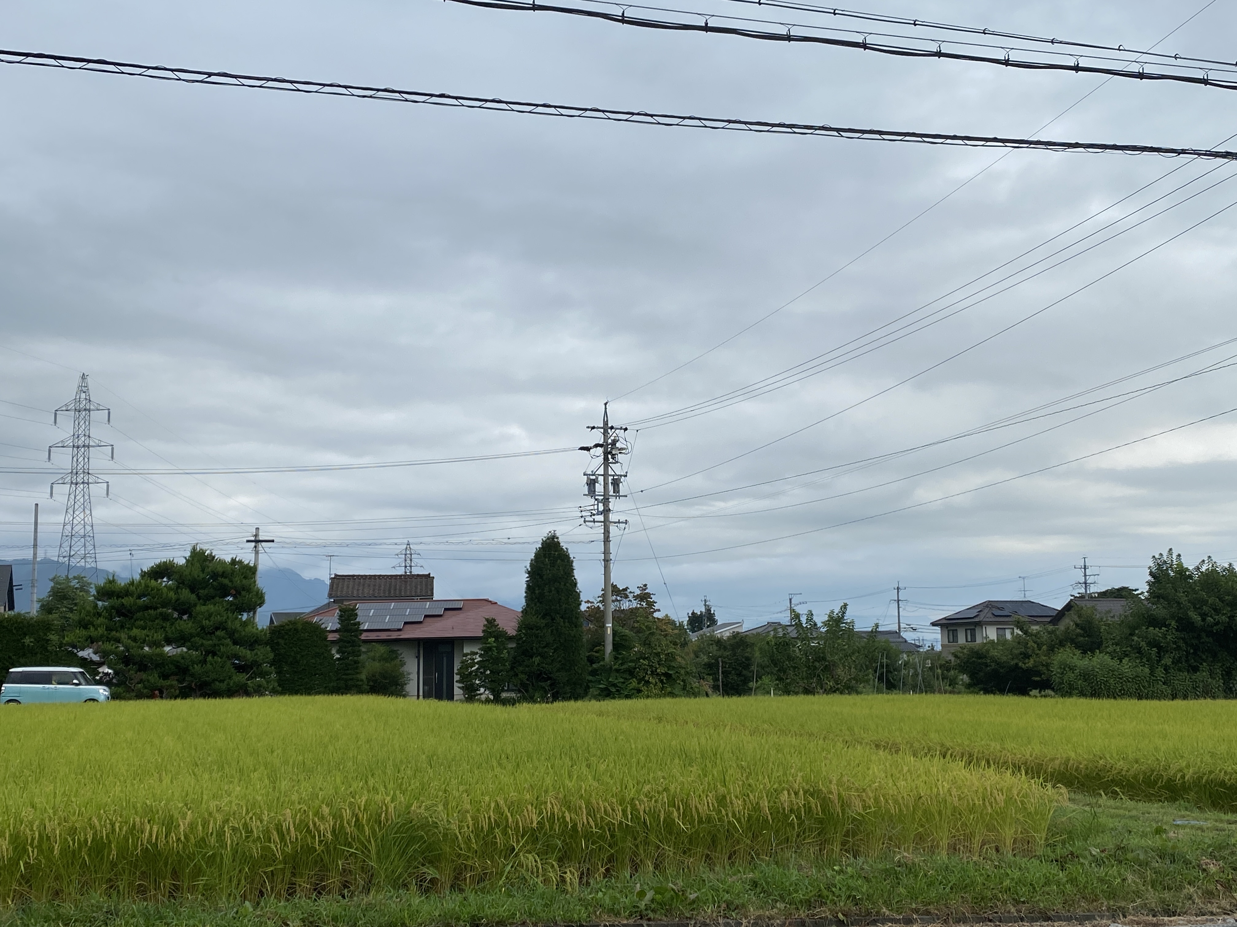 秋ですな。。夏休みクーポンは今日まで！