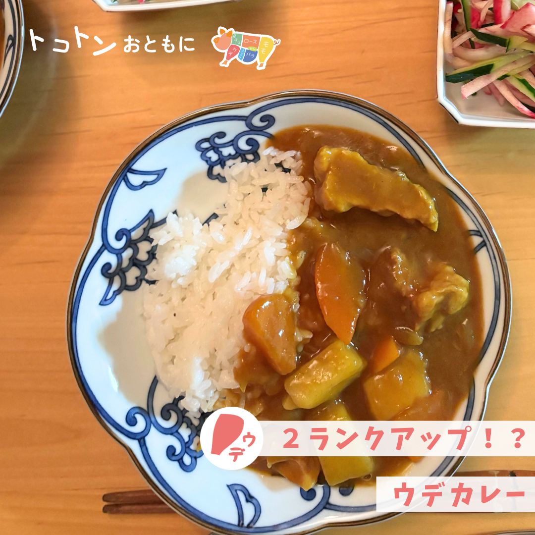【レシピ】2ランクアップでお店の味！？豚ウデカレー