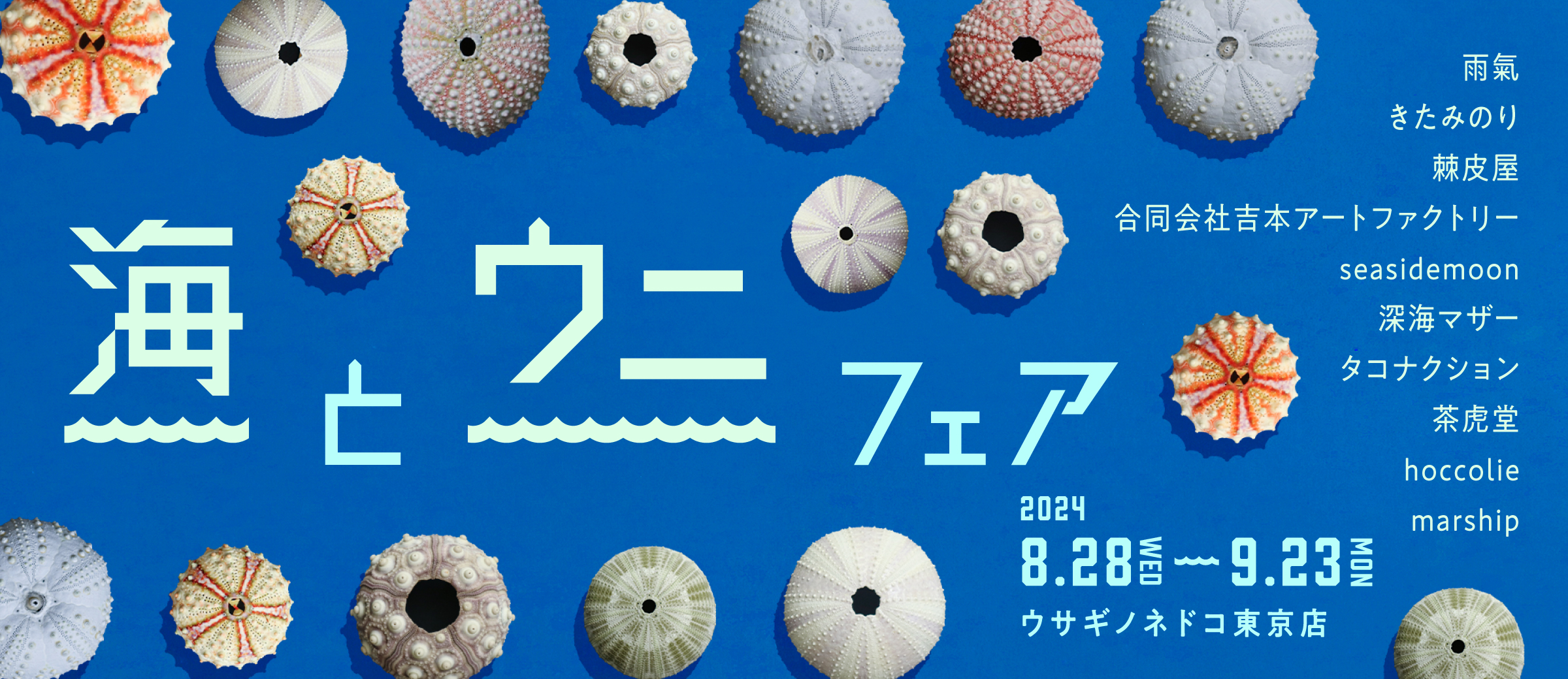【企画展】海とウニフェア