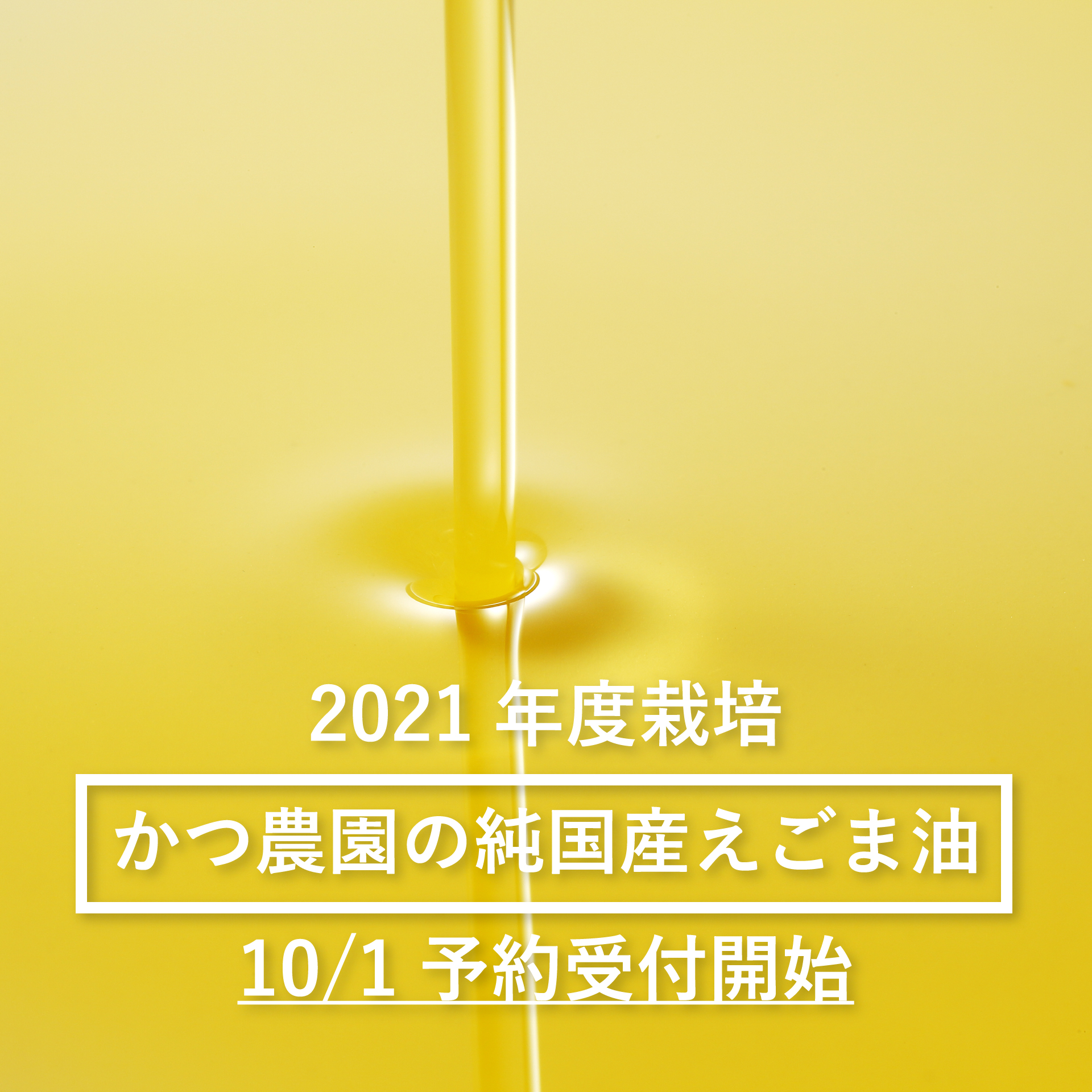 2021年度栽培のえごま油,本日予約販売受付を開始
