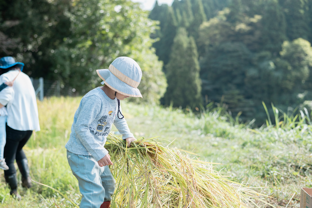 NOROSHI FARM JOURNAL2025.11