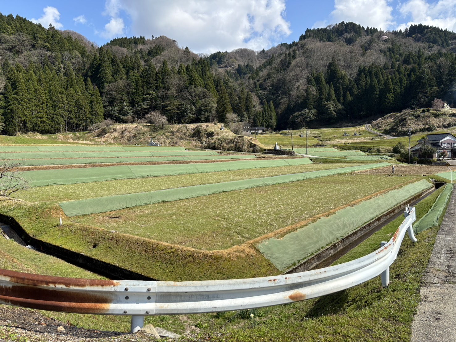 NOROSHI FARM　JOURNAL2025.4