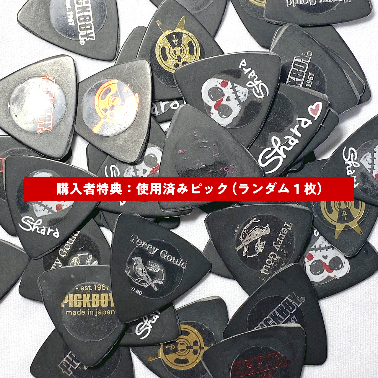 ＼購入者特典／使用済みピック1枚（ランダム）なくなり次第終了