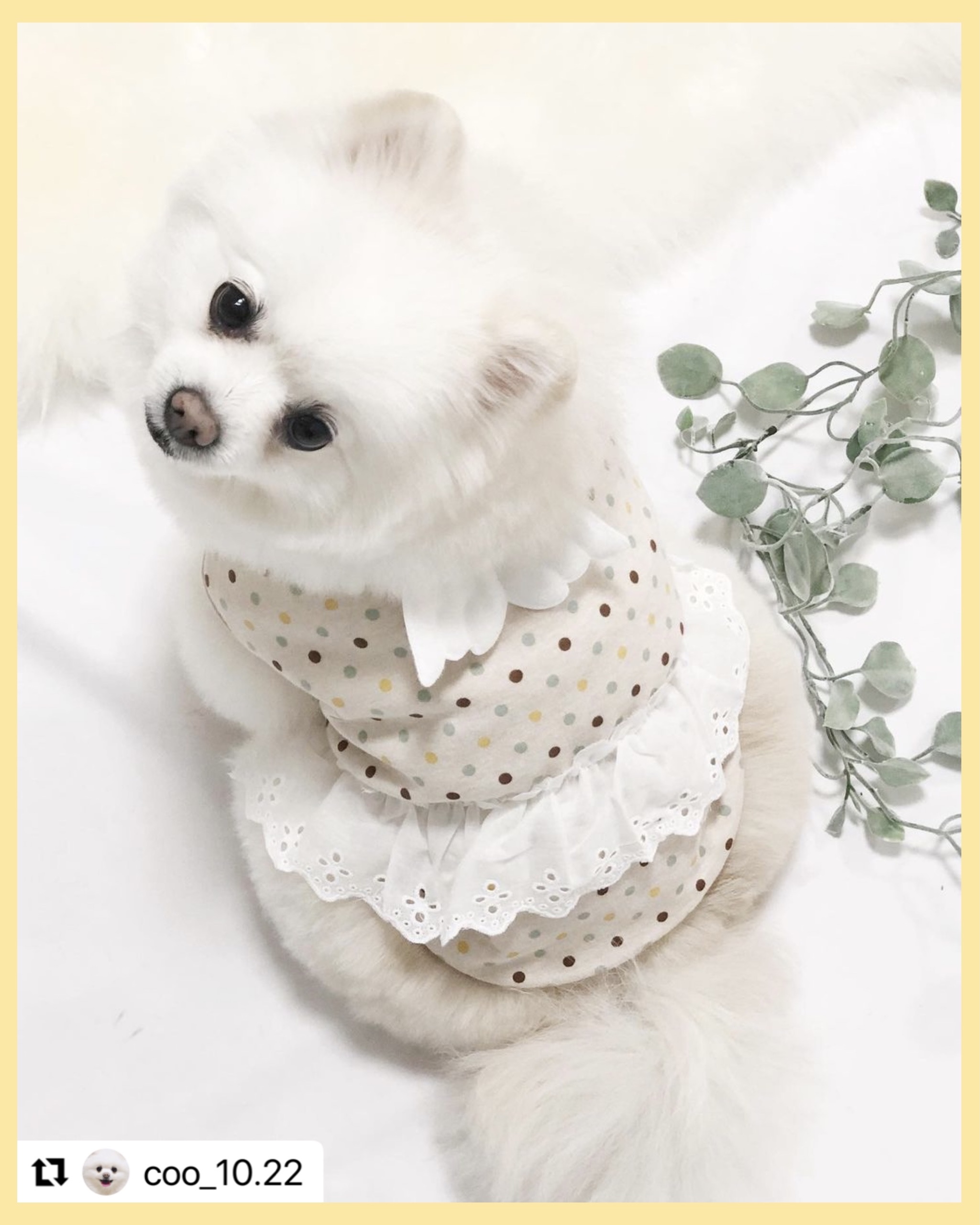 素敵なモデル様より❤️