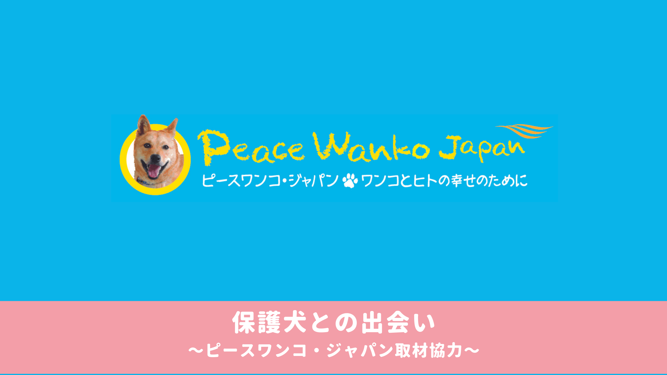 【読み物】 保護犬との出会い〜ピースワンコ・ジャパン取材協力〜