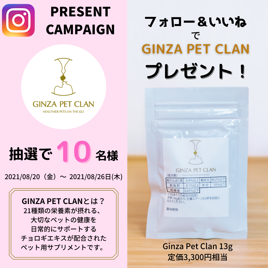 【キャンペーン：終了】GINZA PET CLAN（ギンザペットクラン）がお得に試せるチャンス！