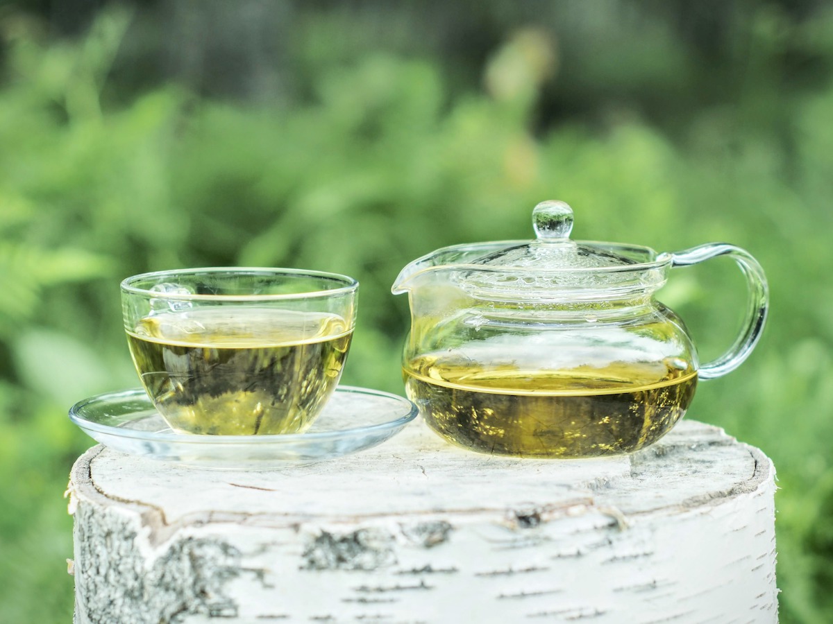 白樺茶10包入完売のお知らせ
