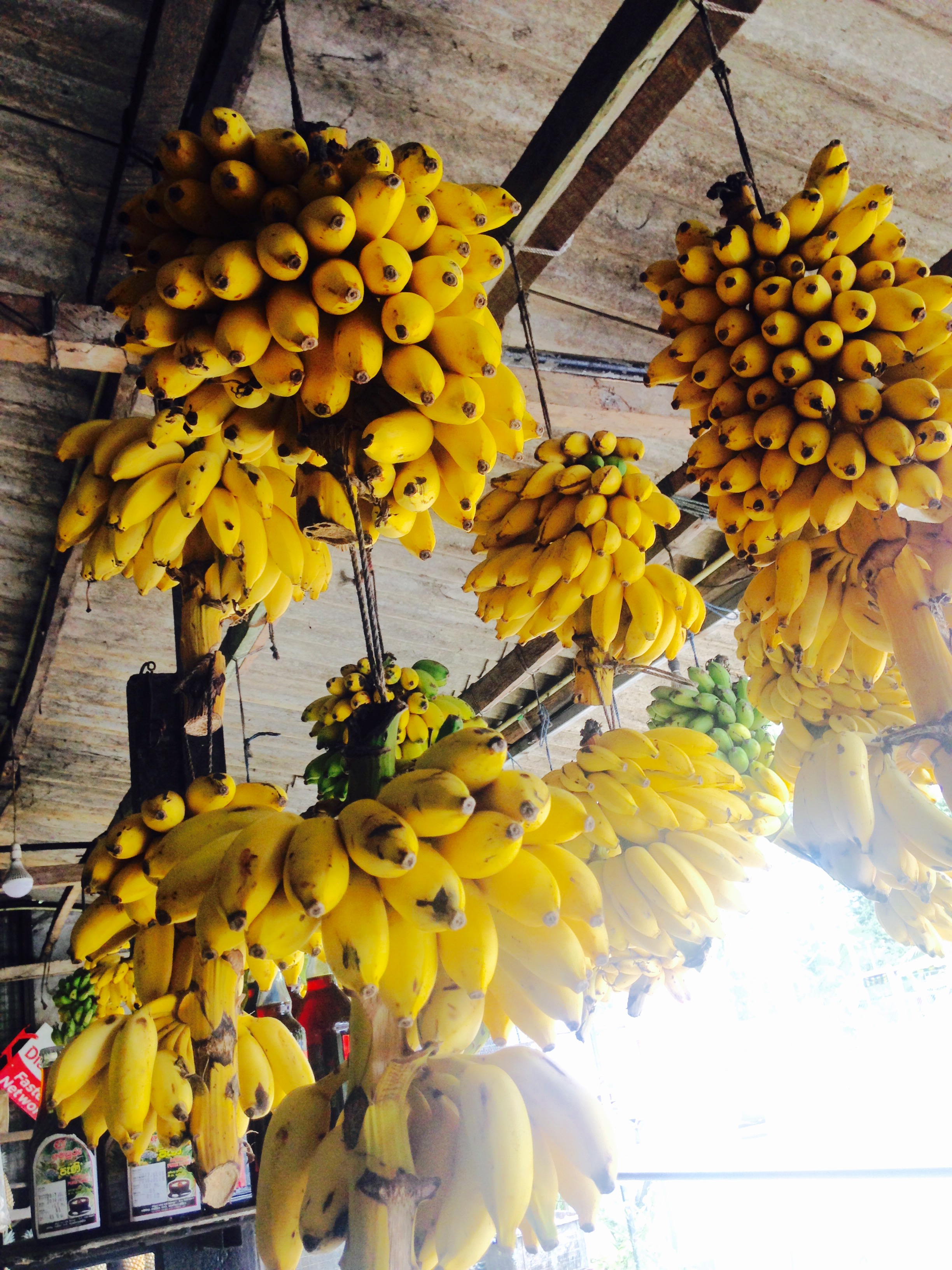 2016/9/11 スリランカ現地報告