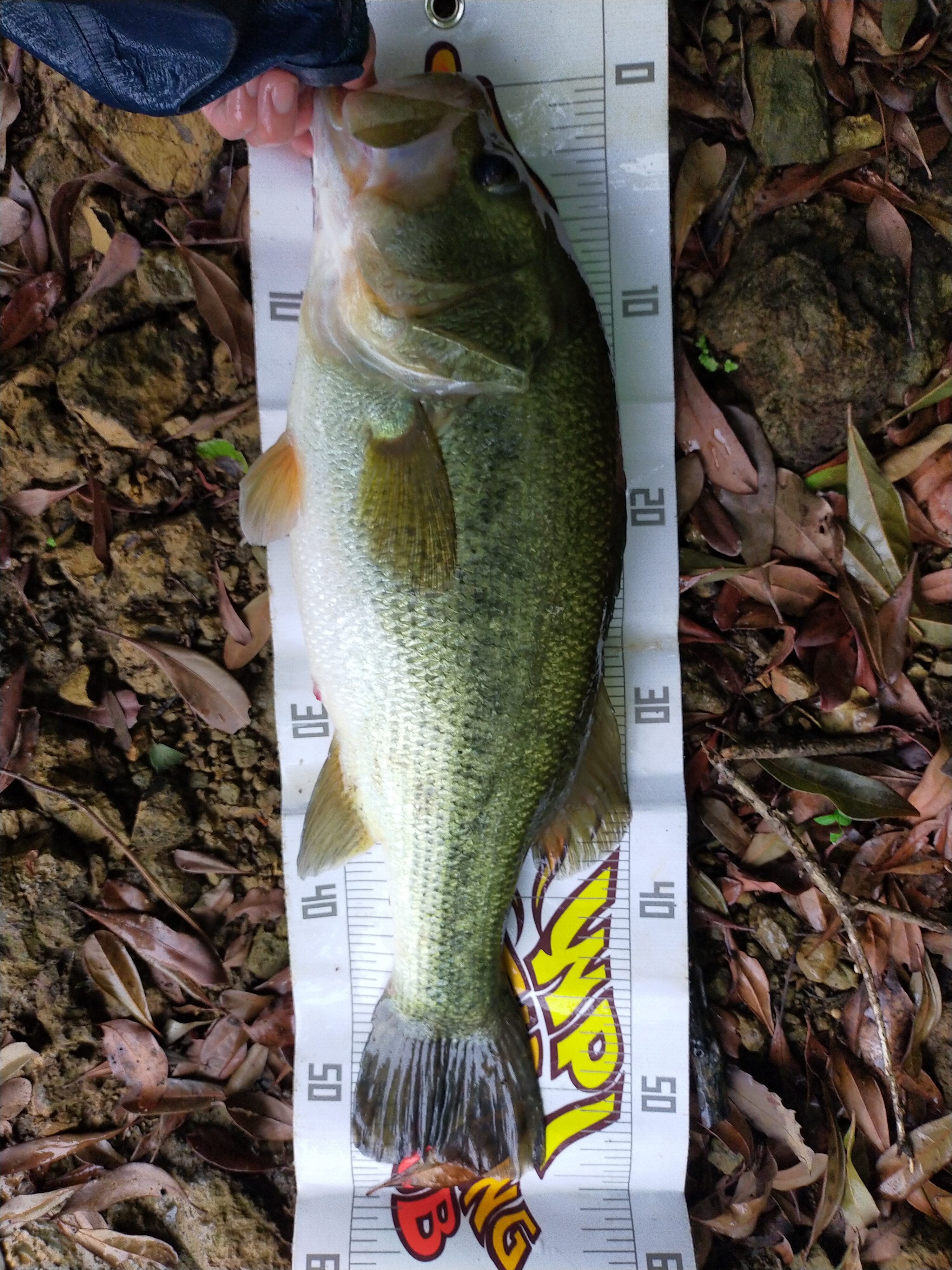 ≪dayoff≫BASS FISHING
