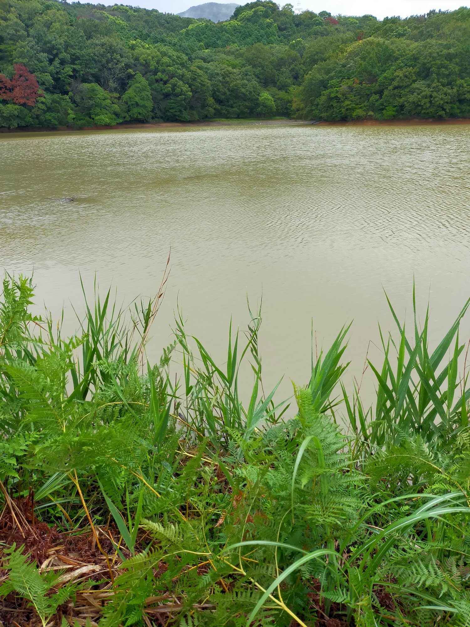 ≪dayoff≫BASS FISHING