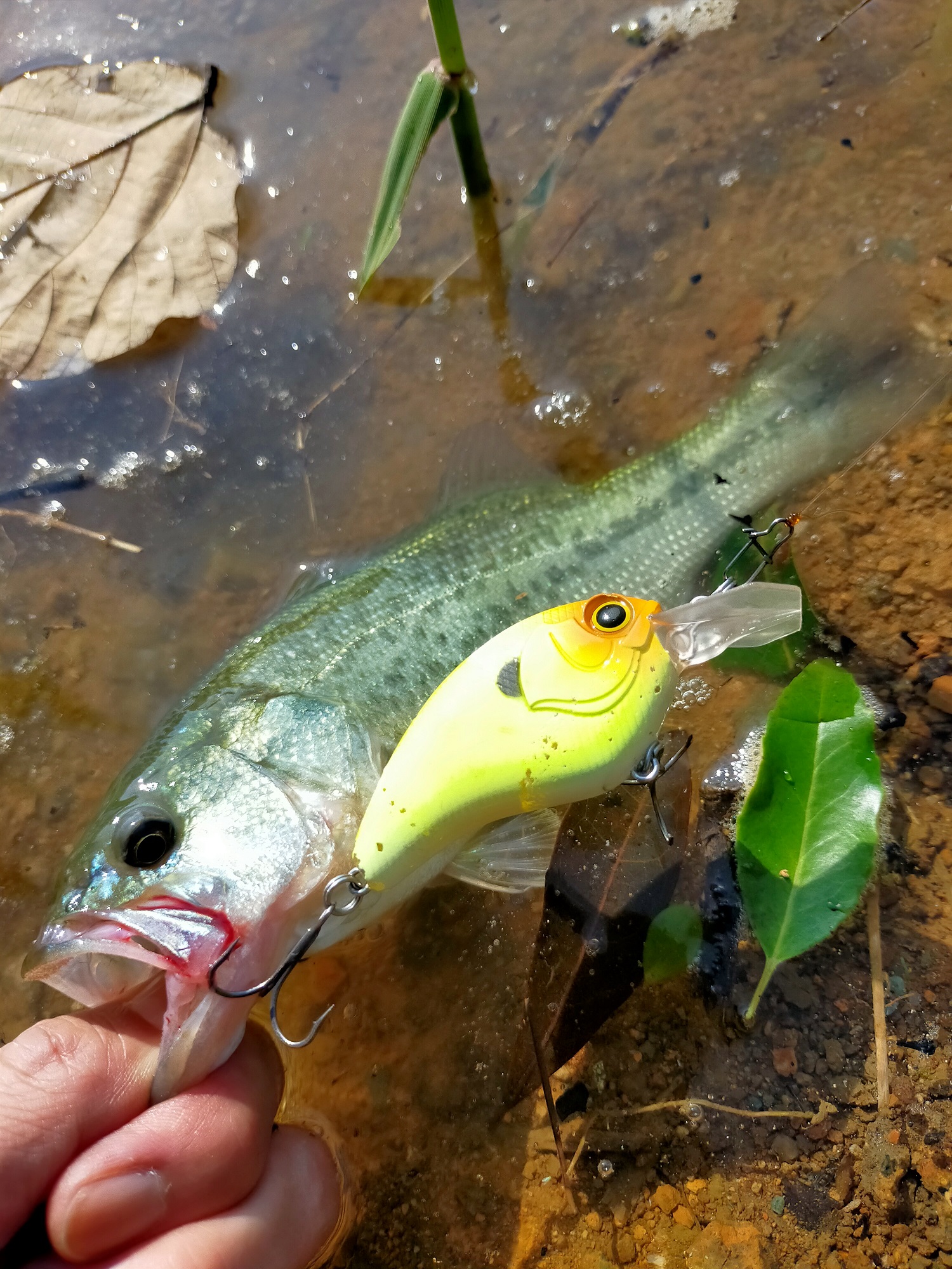 ≪dayoff≫ BASS FISHING