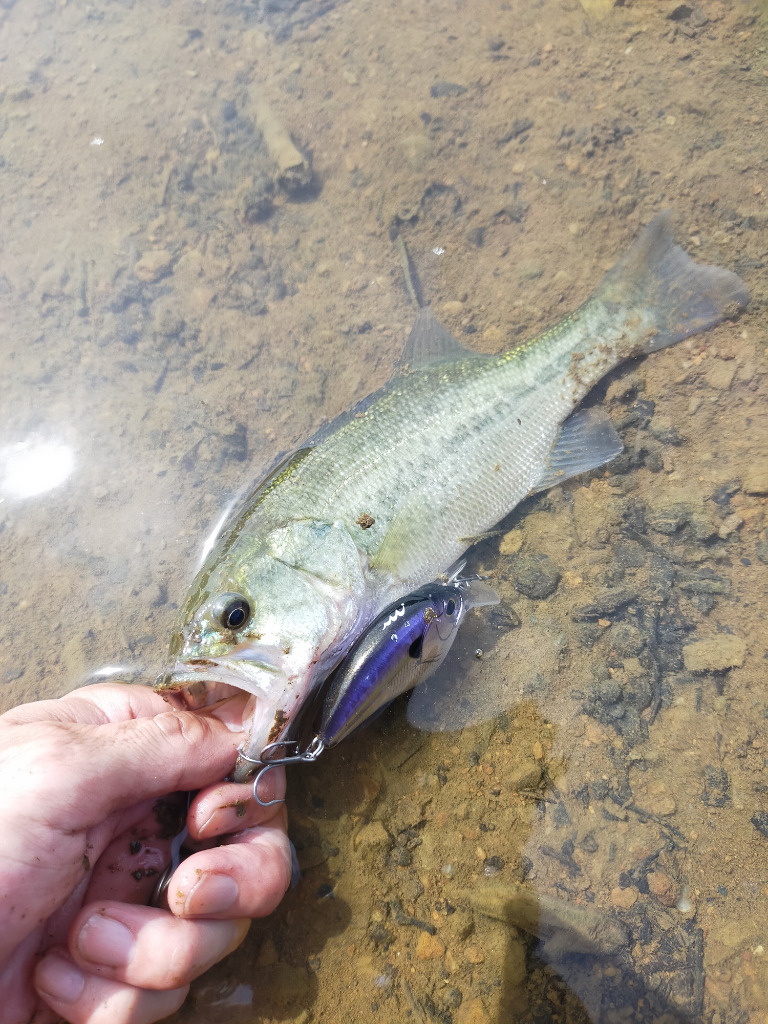 ≪dayoff≫ BASS FISHING