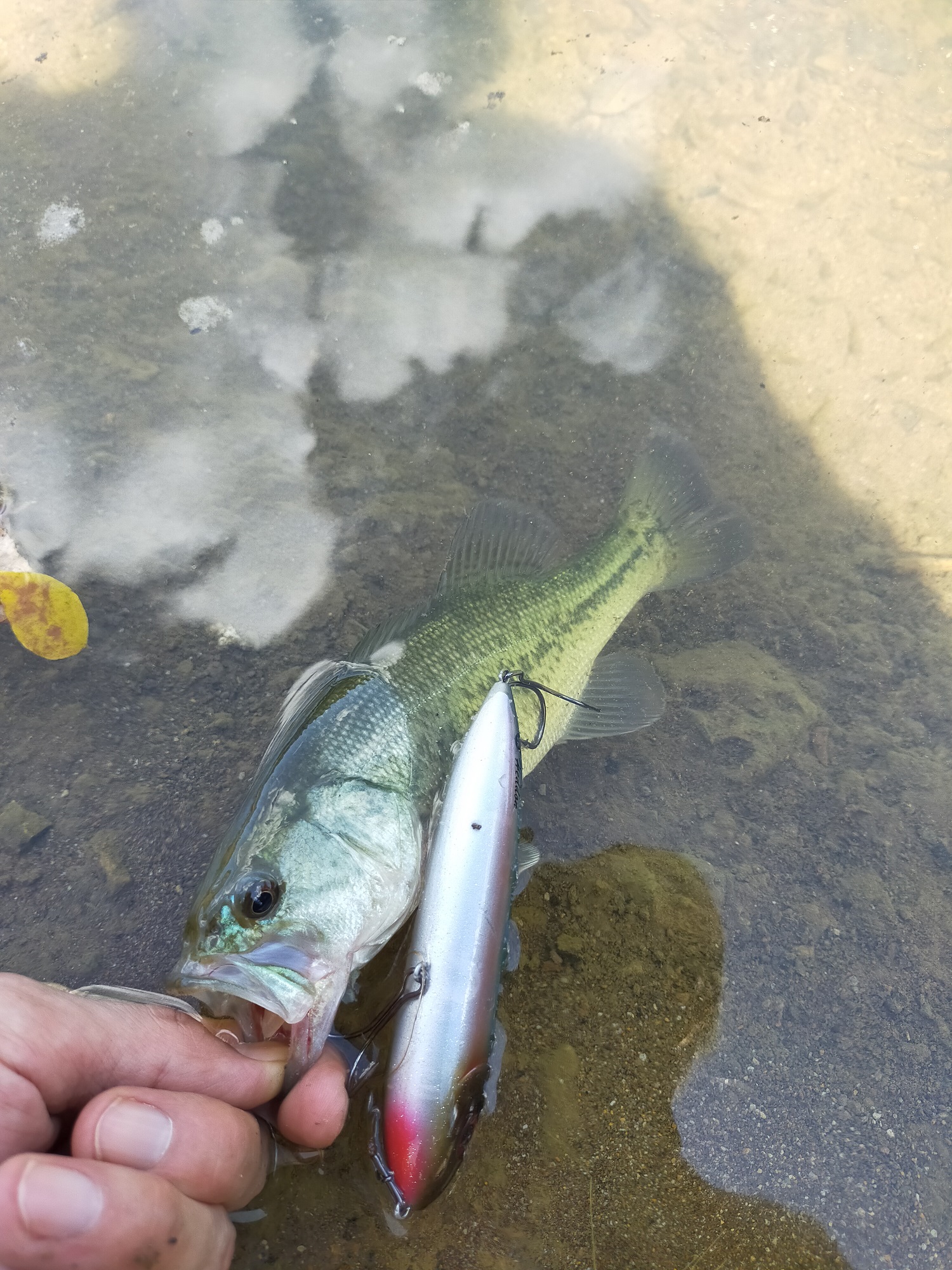 ≪Dayoff≫ BASS FISHING