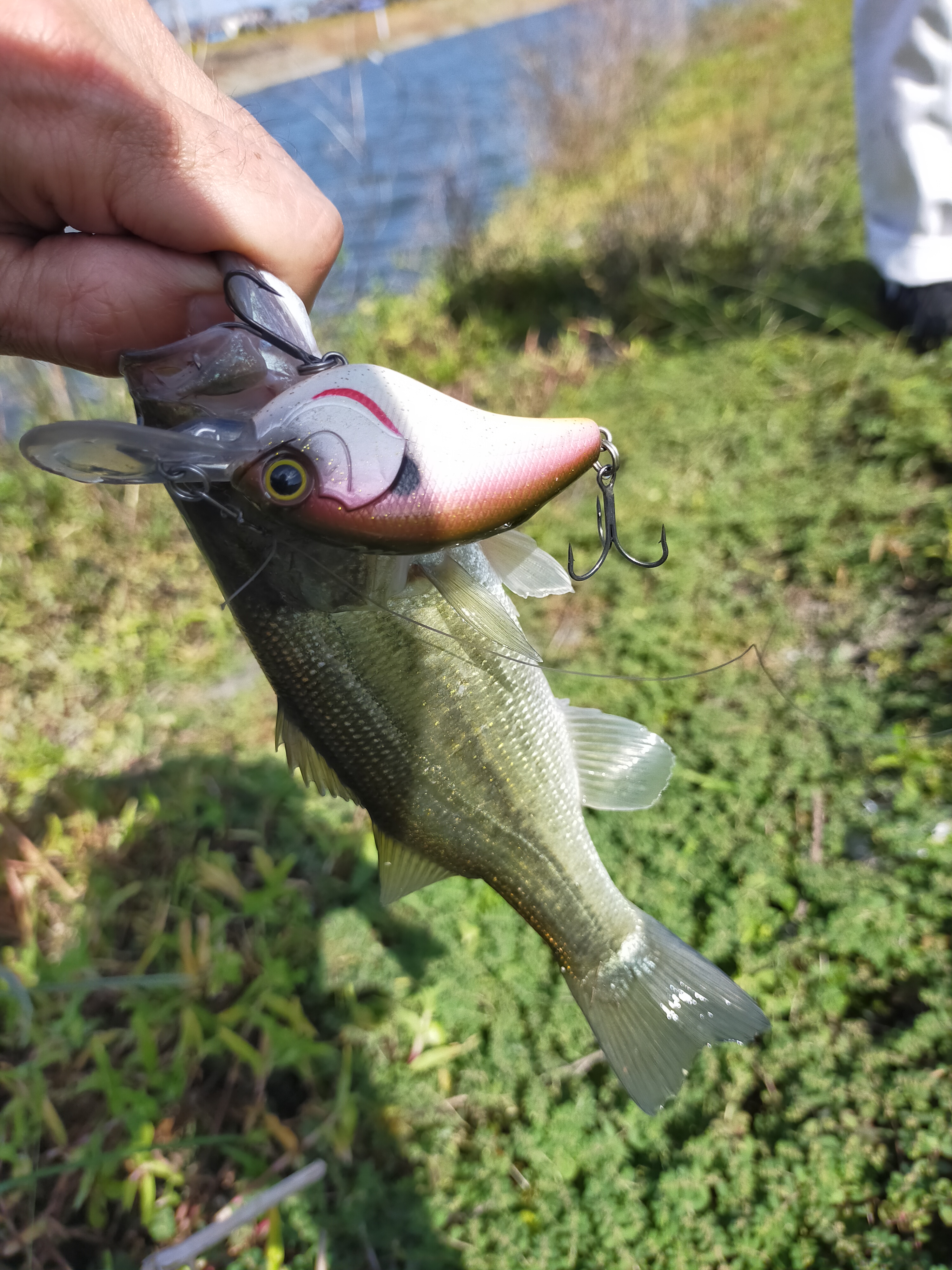 ≪Day off≫BASS FISHING