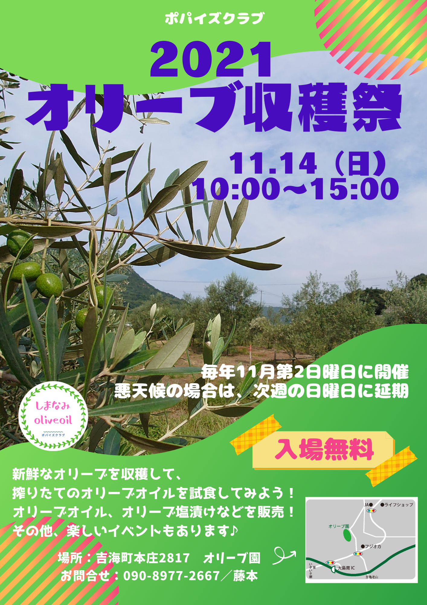 11月14日（日）はオリーブ収穫祭！！