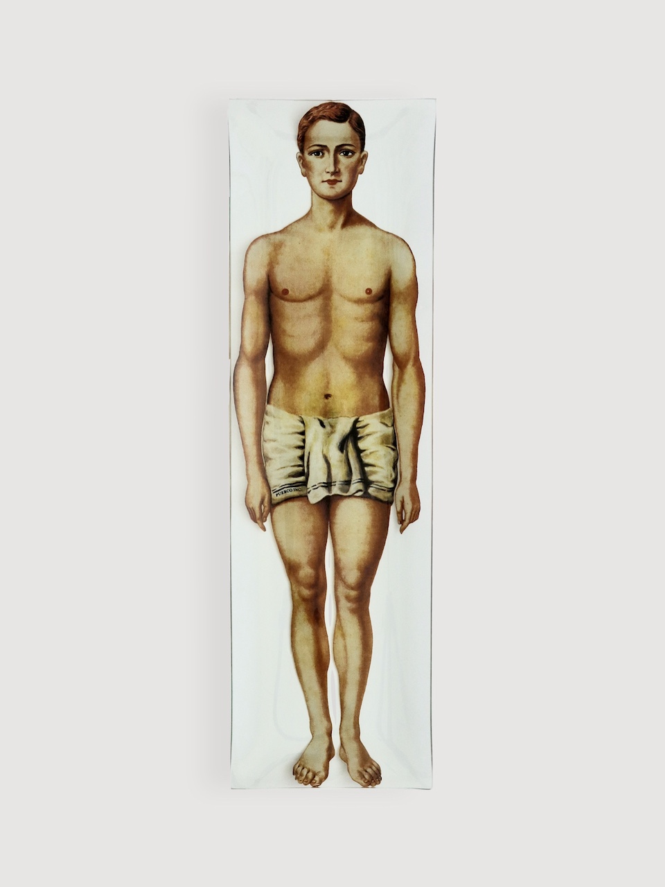 新商品|プリント ガラストレイ