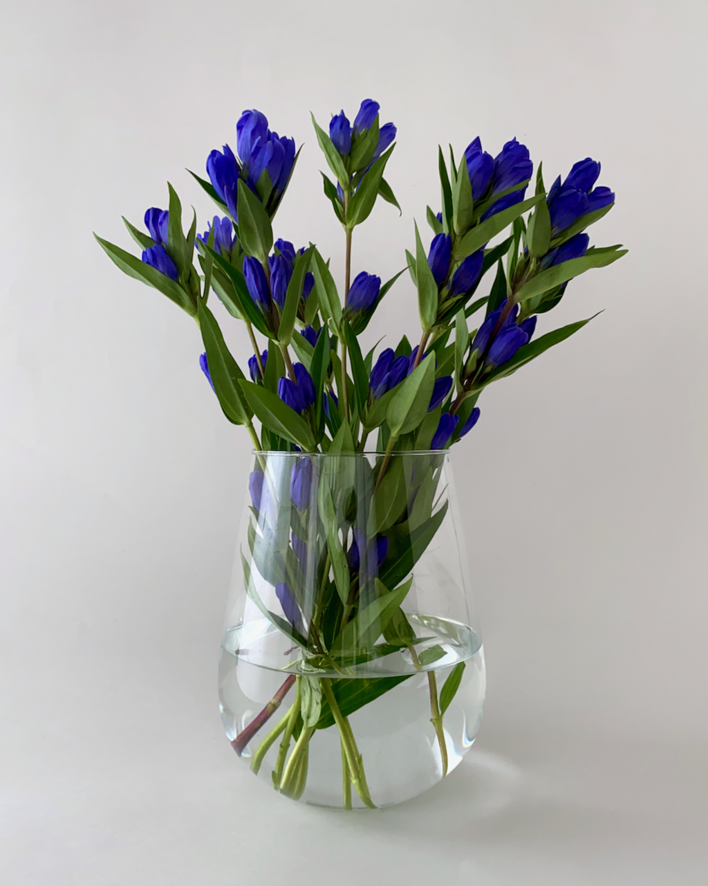 Hugo Vase｜フラワーベース