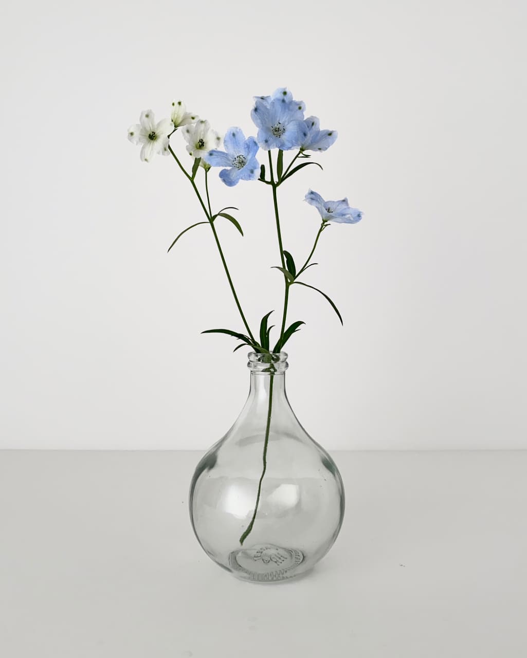 Vase Surge
