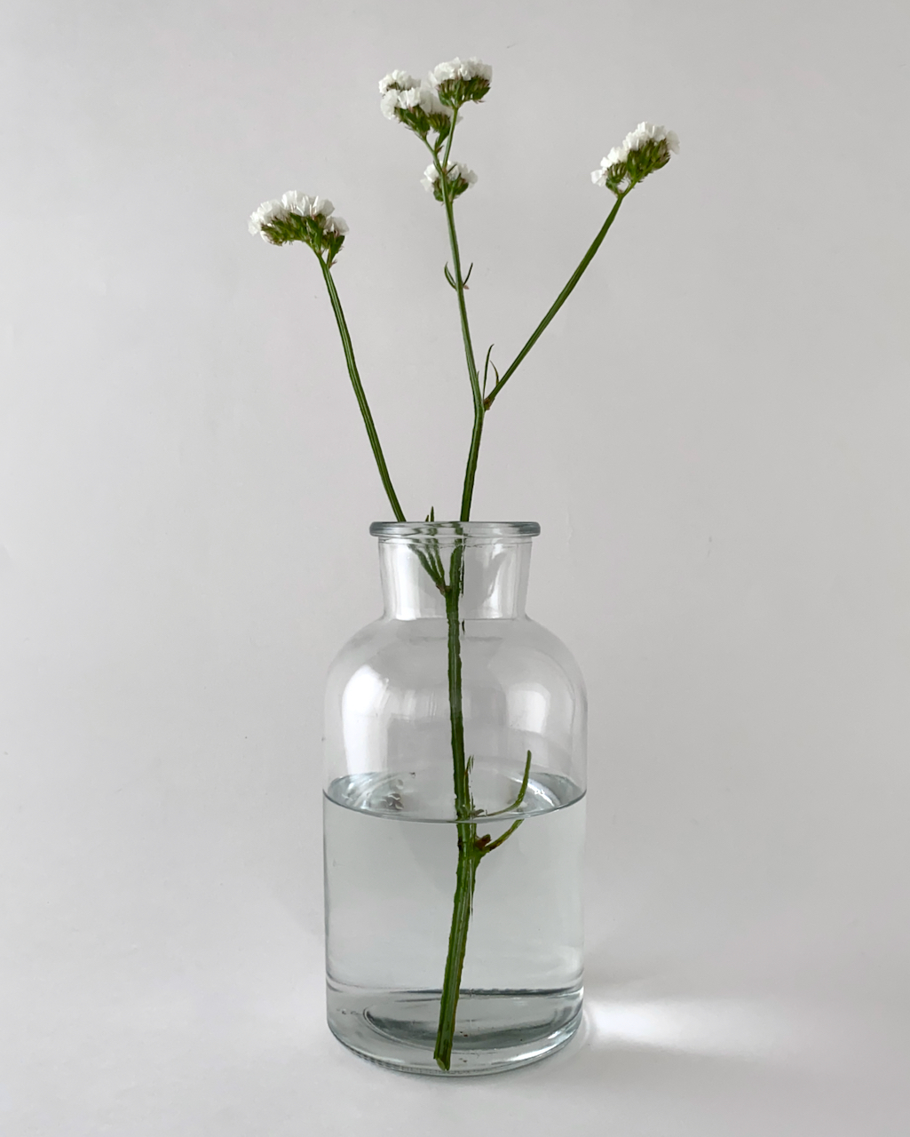 Braxton Vase｜フラワーベース