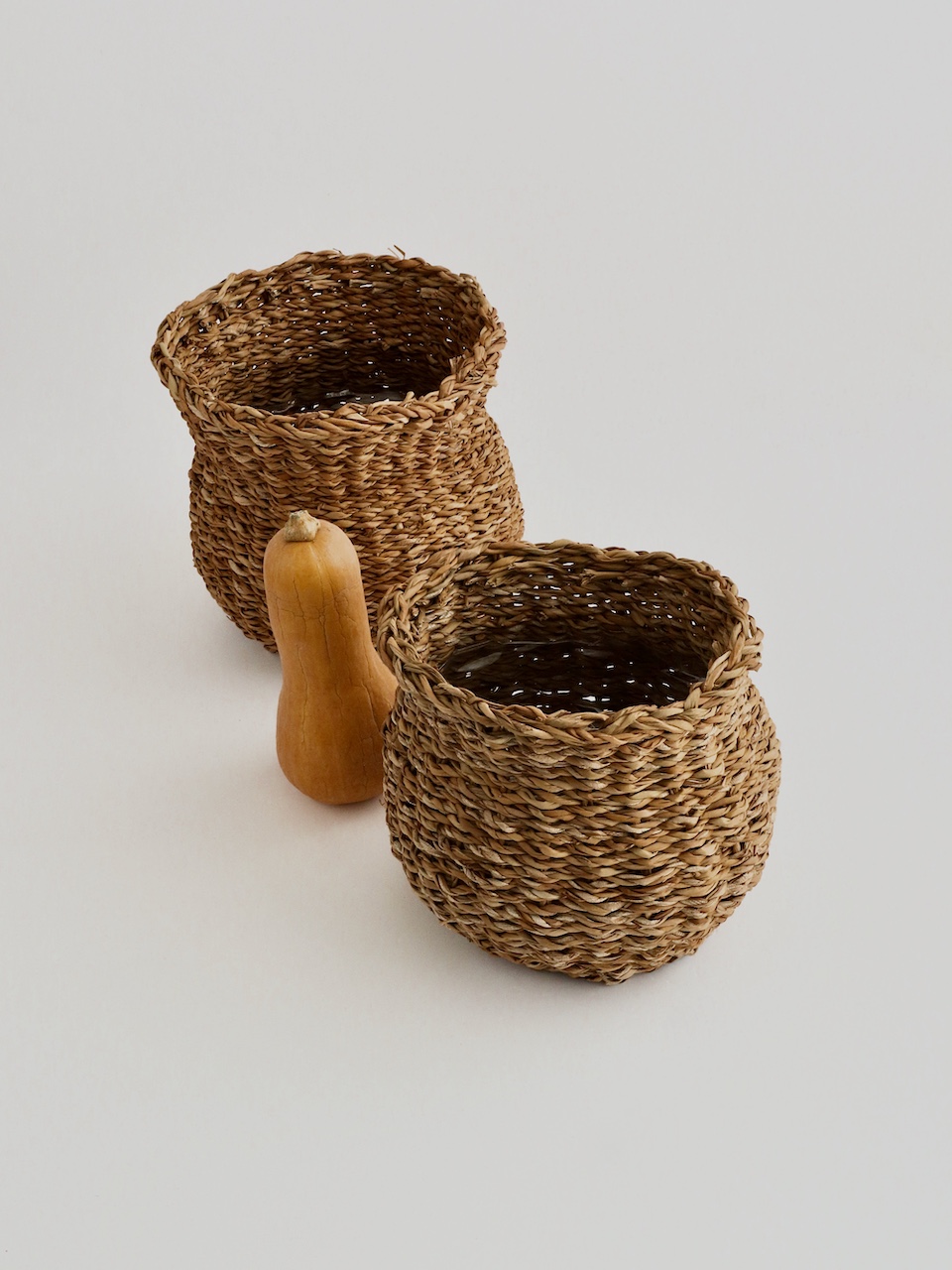 新商品|ホグラ草の鉢カバー