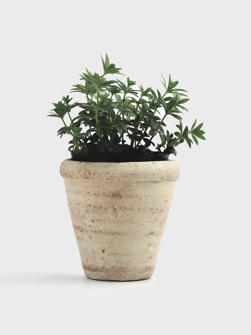 新商品｜テラコッタの植木鉢