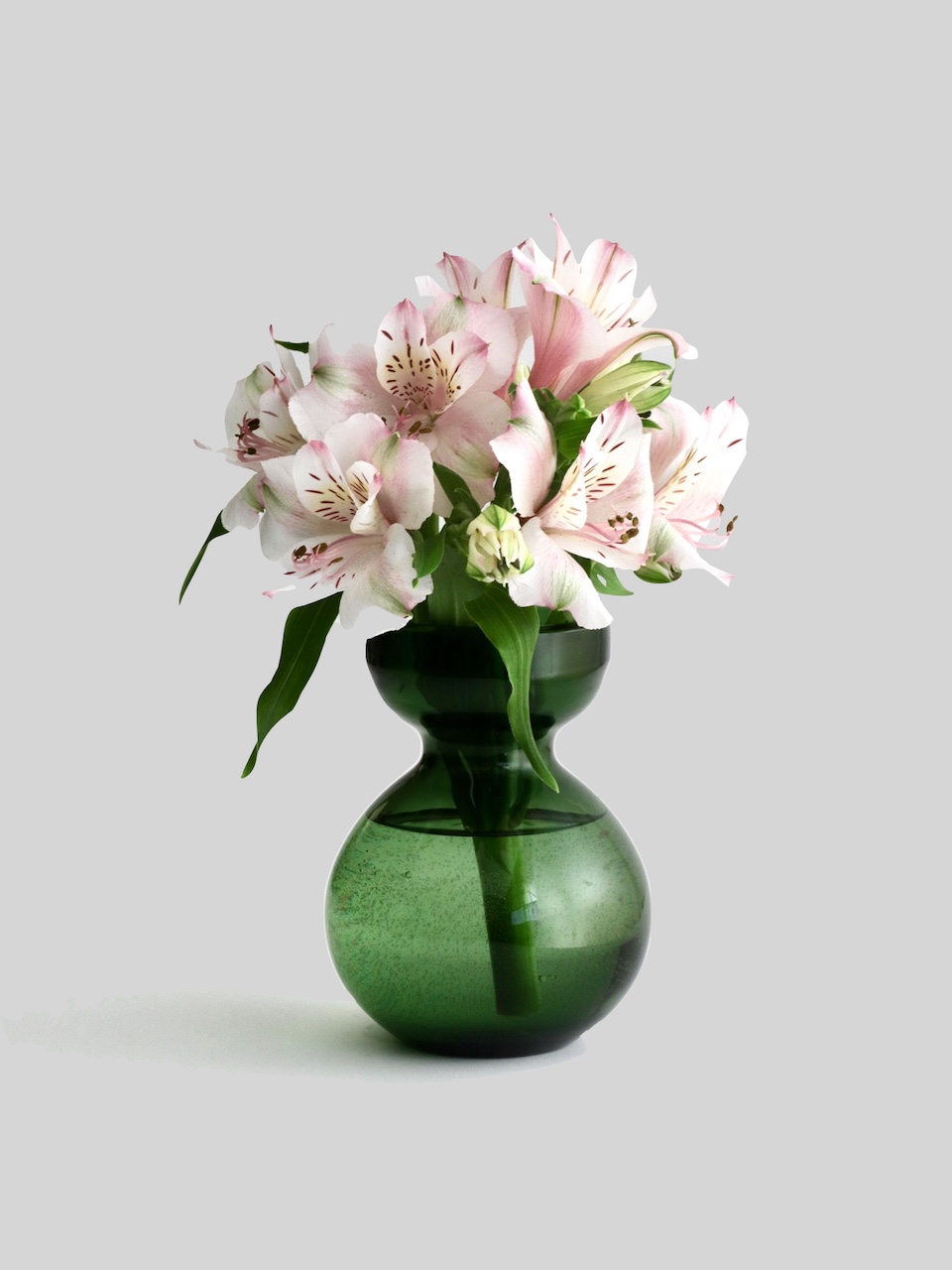 新商品｜バルブベース グリーン