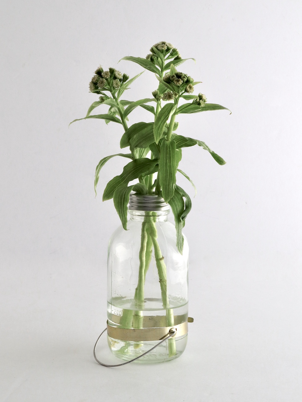 Hanging Glass Bottle