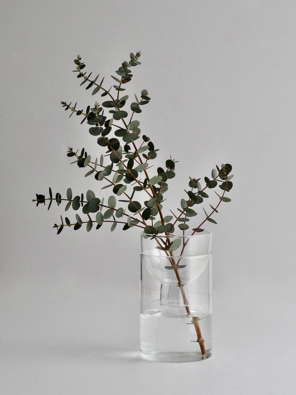 新商品|カットボトルベース|Cut Bottle Vase