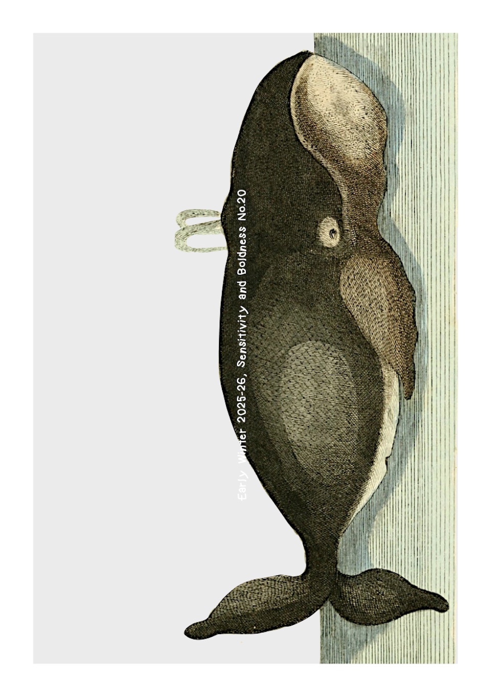 Postcard Early Winter No.20