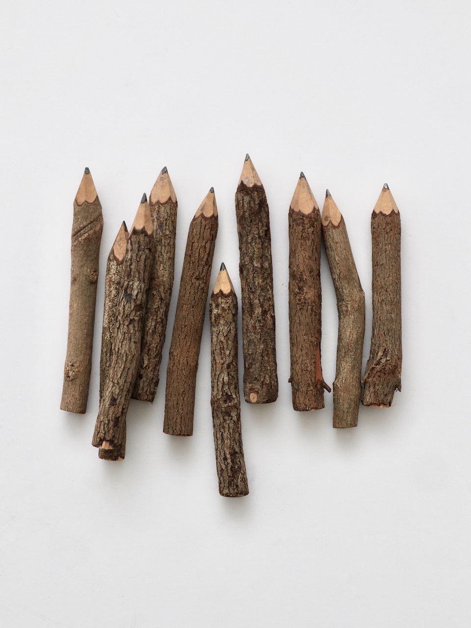 再入荷|木の枝の鉛筆 10本セット