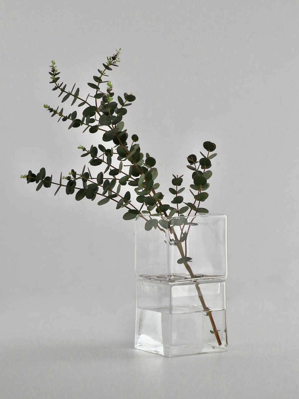 新商品|アクアカルチャー キューブ ベース