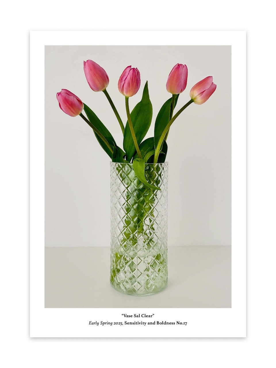 Postcard Early Spring No.17