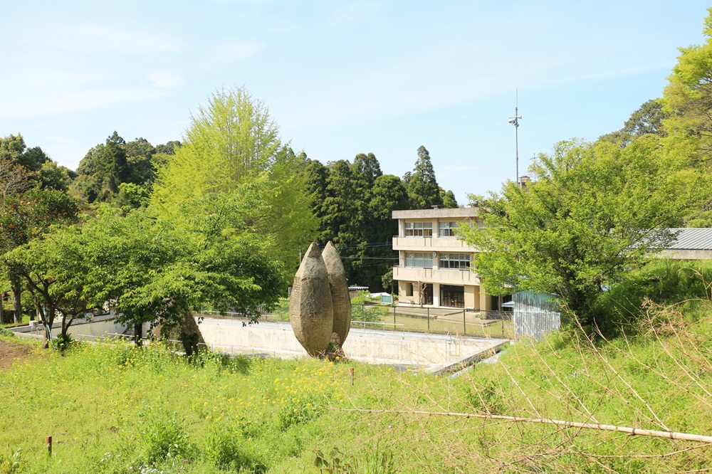 静寂の中に息づく、手しごとの珈琲（ヤマドリ珈琲について）