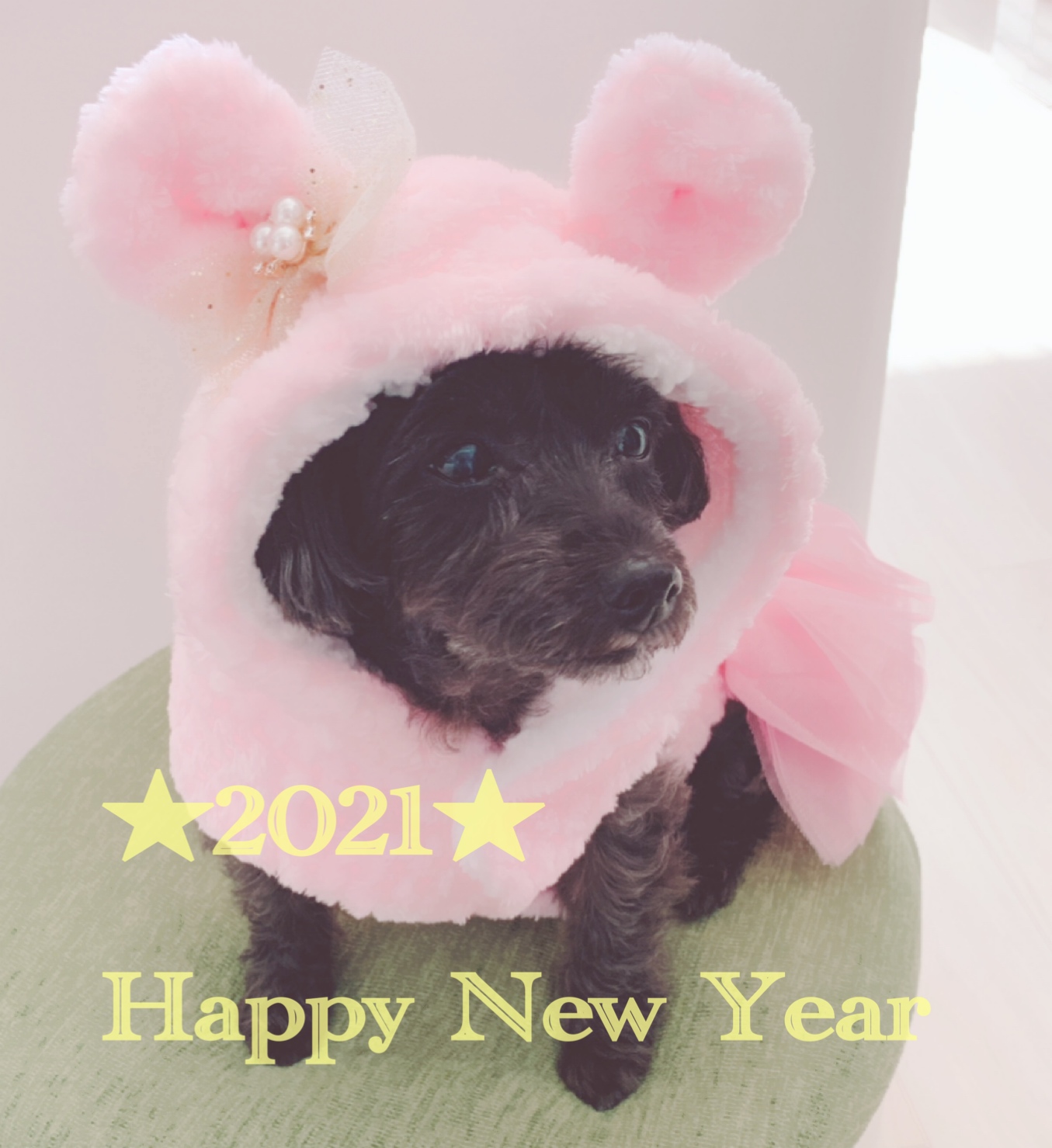 あけましておめでとうございます！