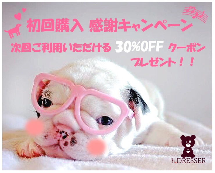 ★初回購入キャンペーン★やってます！