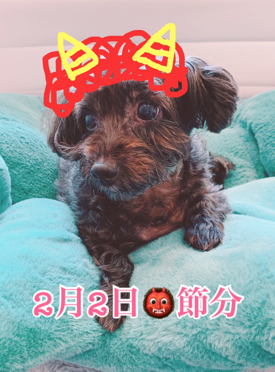 本日は節分！！