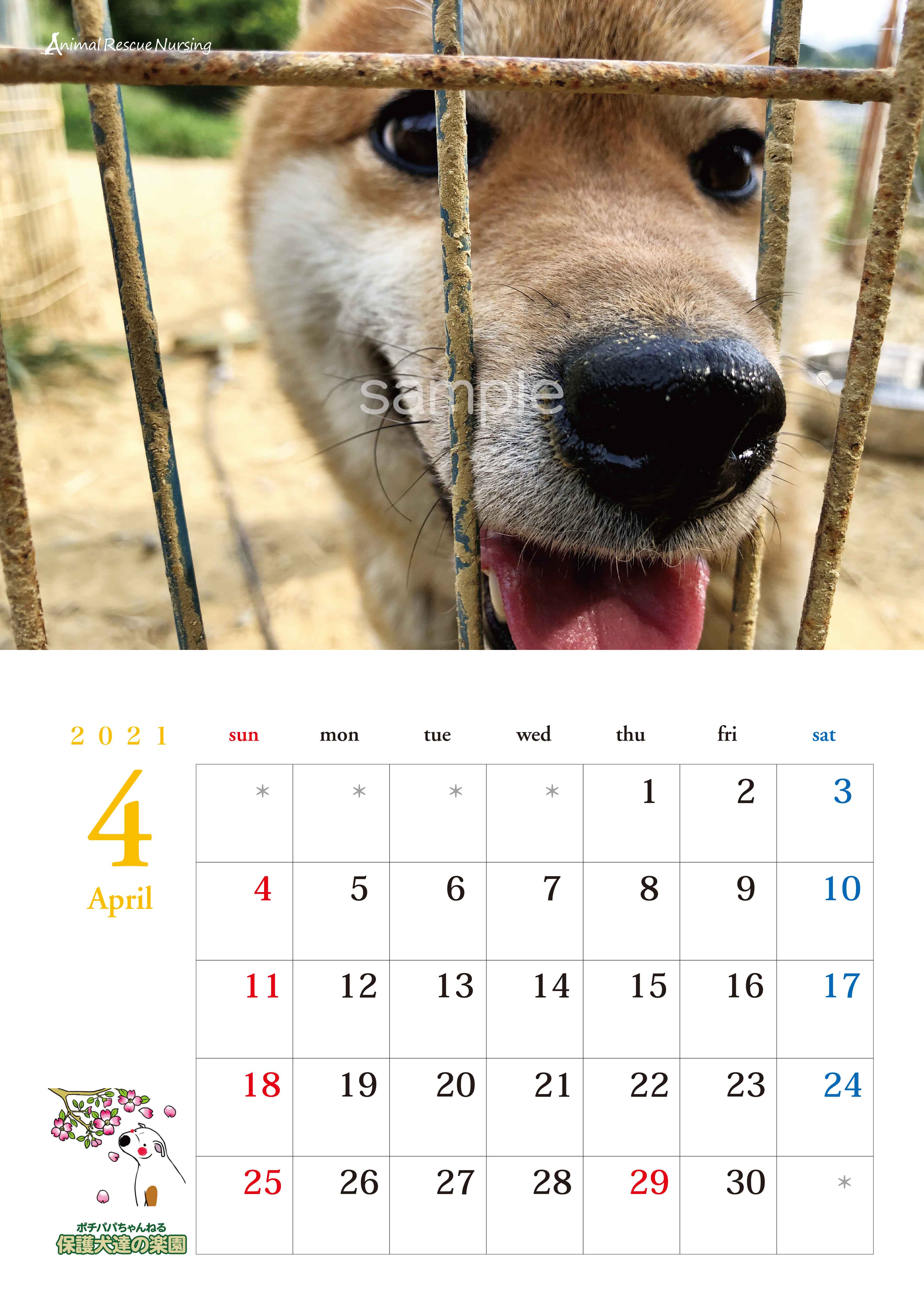 保護犬達の楽園カレンダー2021　売上から寄付をいたしました。