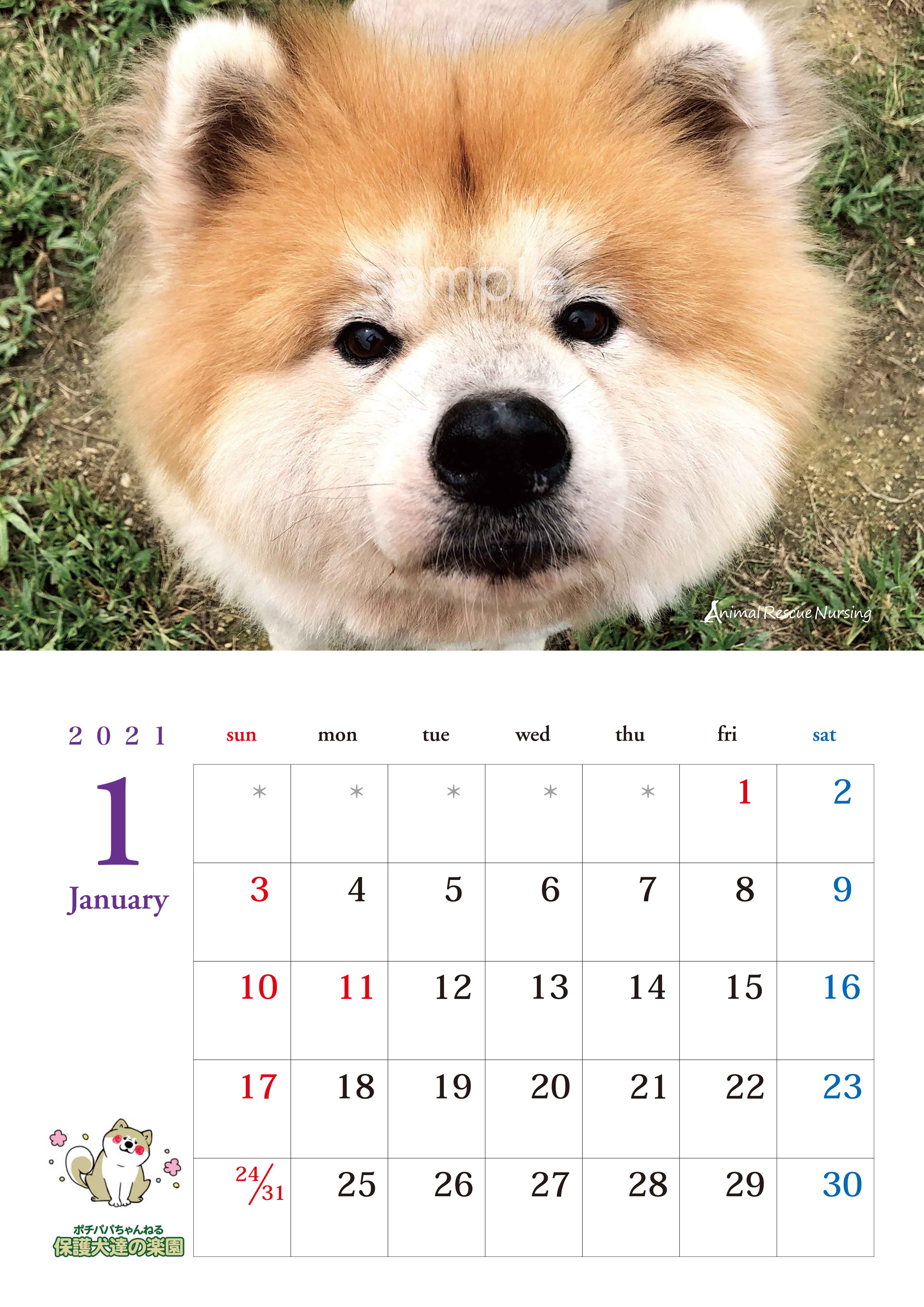 ポチパパちゃんねる保護犬達の楽園カレンダー2023