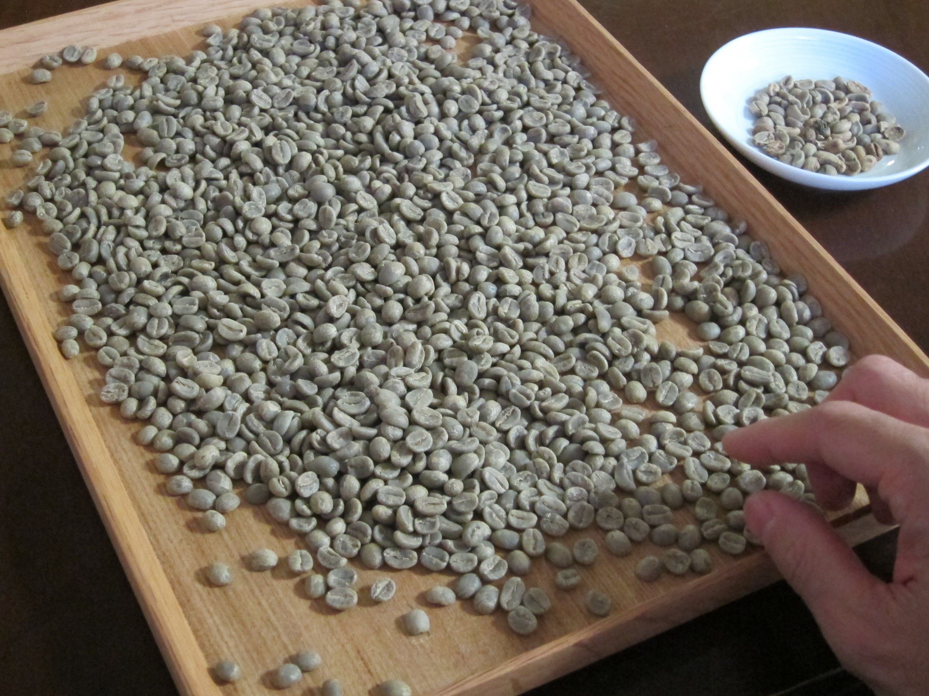 仕上がりを左右する！コーヒー豆のハンドピック
